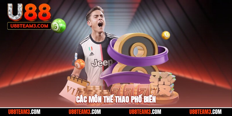 Các môn thể thao phổ biến